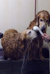 1380944127-3447500467