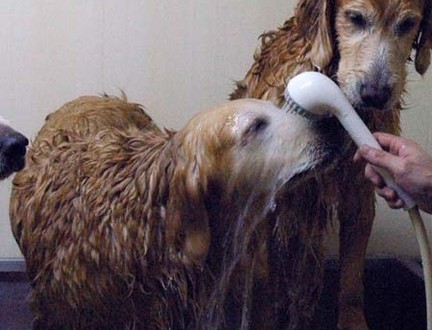 1380944127-3447500467