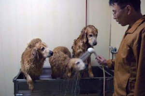 1380944127-495264655