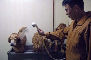 1380944128-2643208555