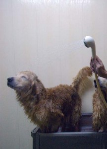 1380944128-4293362855