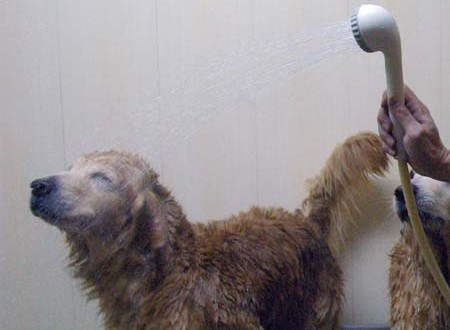 1380944128-4293362855