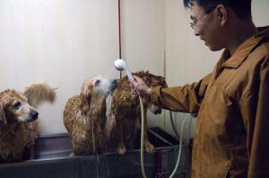 1380944129-1532139391