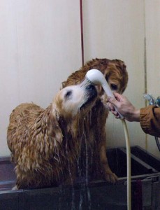 1380944129-4293869886