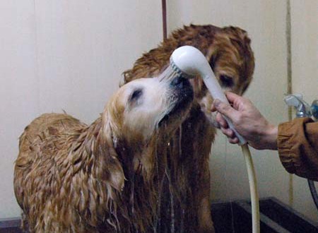 1380944129-4293869886