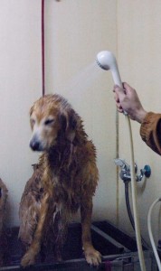 1380944129-676357290