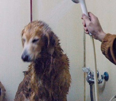 1380944129-676357290