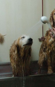 1380944130-2379647643