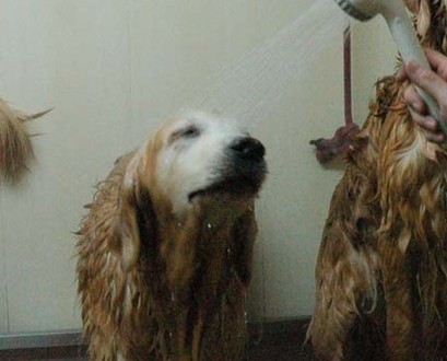 1380944130-2379647643