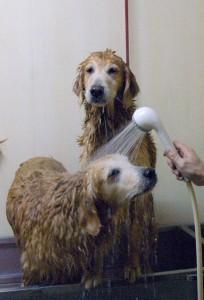 1380944130-2675825909