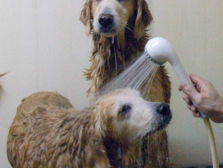 1380944130-2675825909