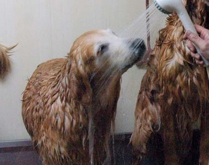 1380944131-3305157478