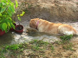 1380944131-4230759457