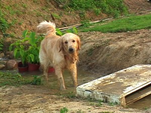 1380944132-2206457864