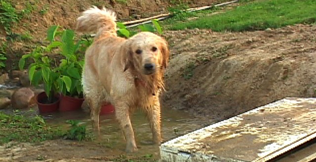 1380944132-2206457864