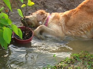 1380944132-3294990269