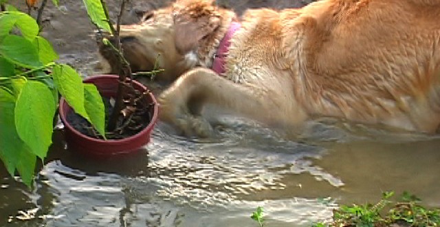 1380944132-3294990269