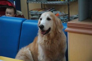 1380944133-295031226