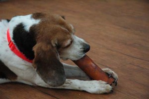 1380944135-1740395762