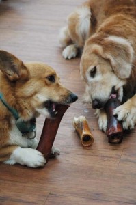 1380944135-660163428