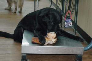 1380944136-2928440669