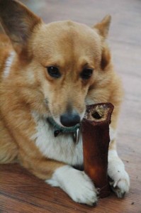 1380944137-2292538591