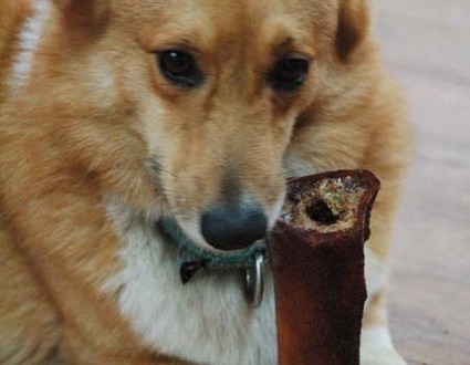 1380944137-2292538591