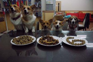 1380944141-3394006267