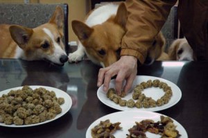 1380944142-1653940628