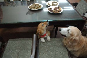 1380944142-3178769067