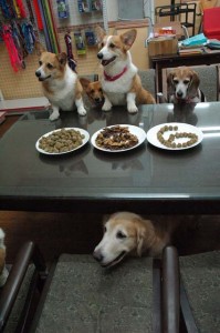 1380944143-2295597187