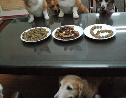 1380944143-2295597187