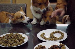 1380944143-3848744542