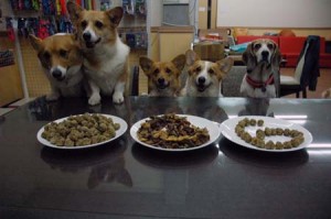 1380944144-2068879420