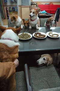 1380944144-2158240292