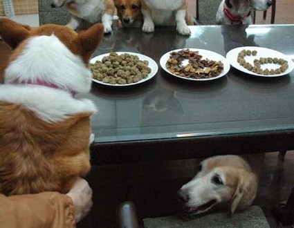 1380944144-2158240292