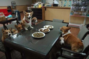 1380944144-3944220116