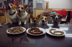 1380944145-2680735363