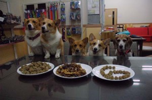 1380944145-688050490