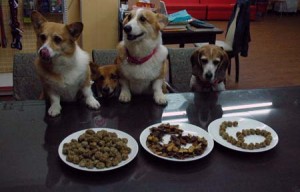 1380944146-1005945456