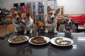 1380944146-1193730580