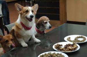 1380944146-3852280777