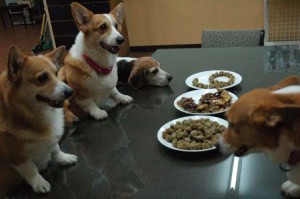 1380944147-1621684391