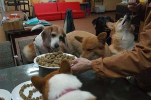 1380944147-2325282985