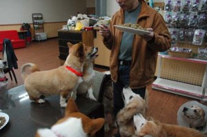 1380944148-1741368591