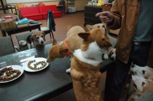 1380944148-2356653423