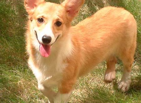 1380944150-2455854483