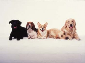 1380944166-157736747