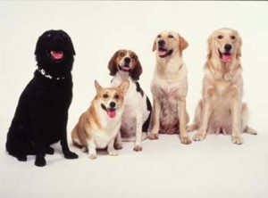 1380944166-324433089