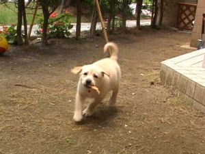 1380944167-149413936